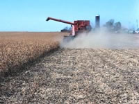 Image: agricultural equipment in long, golden fields of grain.