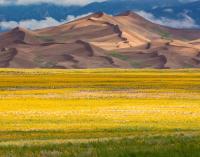 IMPROVE Calendar 2022