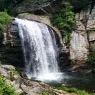 Image: a rapidly flowing waterfall surrounded by rocks and greenery. Photo of Looking Glass Falls by Josh Grant of AQRC.