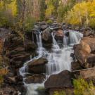 Image: a photo of rushing water over rocks surrounded by trees. Popo Agie Falls by Scott Copeland