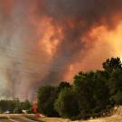 Image: heavy smoke and green trees on a street hillside that burns during the Carr fire.