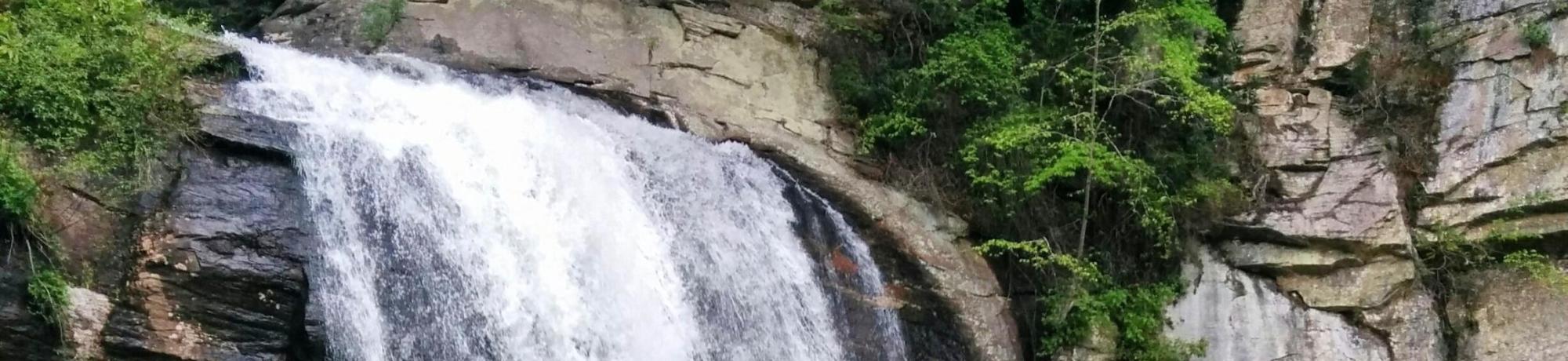 Image: a rapidly flowing waterfall surrounded by rocks and greenery. Photo of Looking Glass Falls by Josh Grant of AQRC.