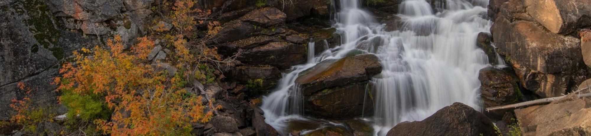 Image: a photo of rushing water over rocks surrounded by trees. Popo Agie Falls by Scott Copeland